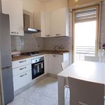 Rent 1 bedroom apartment of 16 m² in Novara