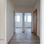 Rent 3 bedroom apartment of 58 m² in Cottbus