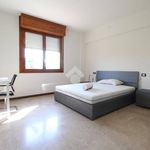 Affitto 4 camera appartamento di 18 m² in Mirandola