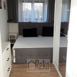 Rent 2 bedroom apartment of 36 m² in Beroun