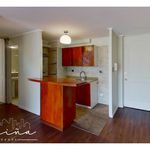 Rent 2 bedroom apartment of 58 m² in Santiago