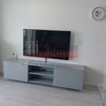 Wynajmij 2 sypialnię apartament z 42 m² w Opole