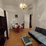 Rent 1 bedroom apartment of 40 m² in Rijeka