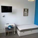 Rent 1 bedroom apartment of 23 m² in Sarreguemines