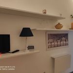 Affitto 1 camera appartamento di 25 m² in Orbetello