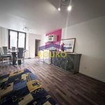 Appartement de 30 m² avec 1 chambre(s) en location à Saint-Nicolas-de-Port