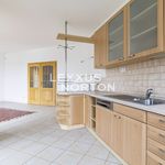 Rent 1 bedroom house of 255 m² in Prague