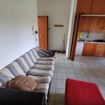 Affitto 2 camera appartamento di 50 m² in Cervaro