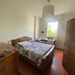 Rent 2 bedroom apartment of 57 m² in Bologna