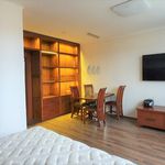 Rent 1 bedroom apartment in Praha 4