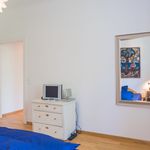 Rent 2 bedroom apartment of 67 m² in Berlin