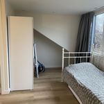 Rent 1 bedroom apartment of 30 m² in Haarlem