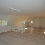 Rent 5 bedroom house of 2148 m² in Schilde