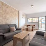 Alquilar 6 dormitorio apartamento en Castellón de la Plana
