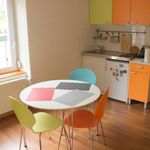 Rent 1 bedroom apartment of 48 m² in Saint-Louis