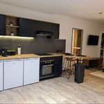 Rent 1 bedroom apartment of 10 m² in Vaulx-en-Velin