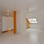 Maison de 293 m² avec 5 chambre(s) en location à Bilzen
