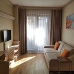 Rent 1 bedroom apartment of 60 m² in Istanbul