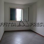 Rent 3 bedroom apartment of 65 m² in Forlì