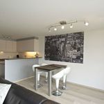 Rent 1 bedroom apartment in Bruges