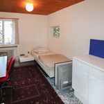Miete 1 Schlafzimmer wohnung von 15 m² in Faoug