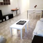 Rent 4 bedroom apartment of 140 m² in Piacenza