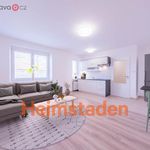 Rent 1 bedroom apartment of 29 m² in Havířov