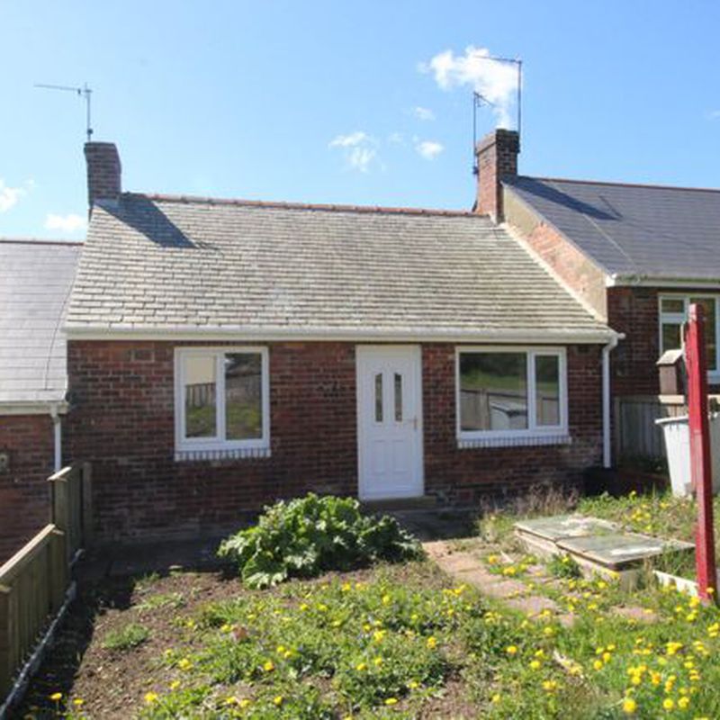 Bungalow to rent in Engels Terrace, Stanley, Durham DH9 South Stanley