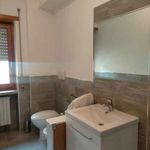 Rent 4 bedroom apartment of 115 m² in L'Aquila