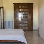 Rent a room of 150 m² in Roma
