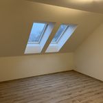 Rent 1 bedroom house of 155 m² in Ostrava