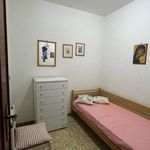 Affitto 3 camera appartamento di 63 m² in Nettuno