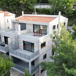 Ενοικίαση 4 υπνοδωμάτιο σπίτι από 213 m² σε Dionysos