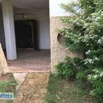 Rent 2 bedroom house of 50 m² in Isola di Capo Rizzuto
