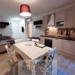 Rent 3 bedroom apartment of 80 m² in Padova