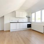 Rent 1 bedroom apartment of 45 m² in Groningen