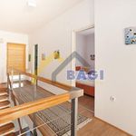 Rent 8 bedroom house of 300 m² in Zagreb