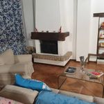 Rent 2 bedroom apartment of 60 m² in Modena