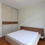 Rent 3 bedroom apartment of 94 m² in Brno