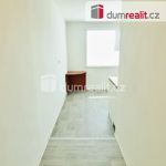 Rent 1 bedroom apartment of 35 m² in Roudnice nad Labem
