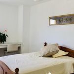 Rent 3 bedroom apartment of 70 m² in Arrondissement of Nantes