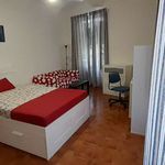 Rent a room of 115 m² in Firenze