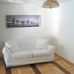 Rent 1 bedroom apartment of 210 m² in Krakow