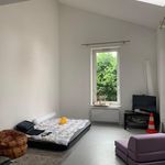 Rent 2 bedroom apartment of 52 m² in Nancy