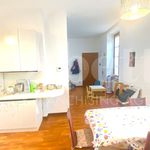 Affitto 3 camera appartamento di 100 m² in Monza