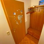 Rent 2 bedroom apartment of 40 m² in Greiz