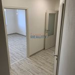 Rent 1 bedroom apartment of 48 m² in České Budějovice