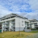 Rent 3 bedroom apartment of 62 m² in Wiener Neustadt