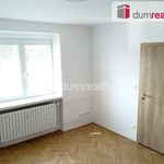 Rent 1 bedroom apartment of 29 m² in Dolní Benešov
