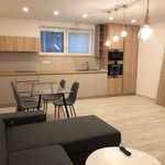 Rent 1 bedroom apartment of 39 m² in Trnava